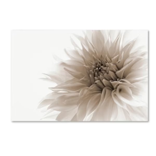 Priska Wettstein 'Dignified' Canvas Art, 12x19, Trademark Fine Art, Mfr#: 1X00142-C1219GG